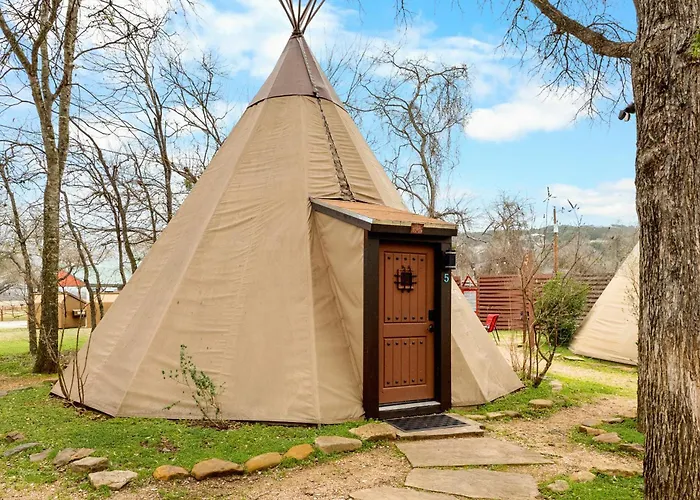 Yellow Flower - Tipi 5